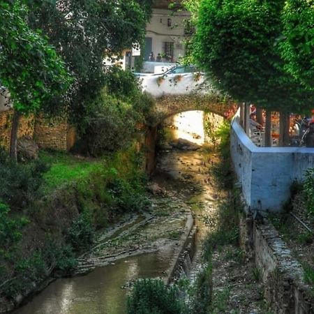 Setenil De Las Bodegas Casa Cueva Un Rincon En La Roca 빌라 외부 사진